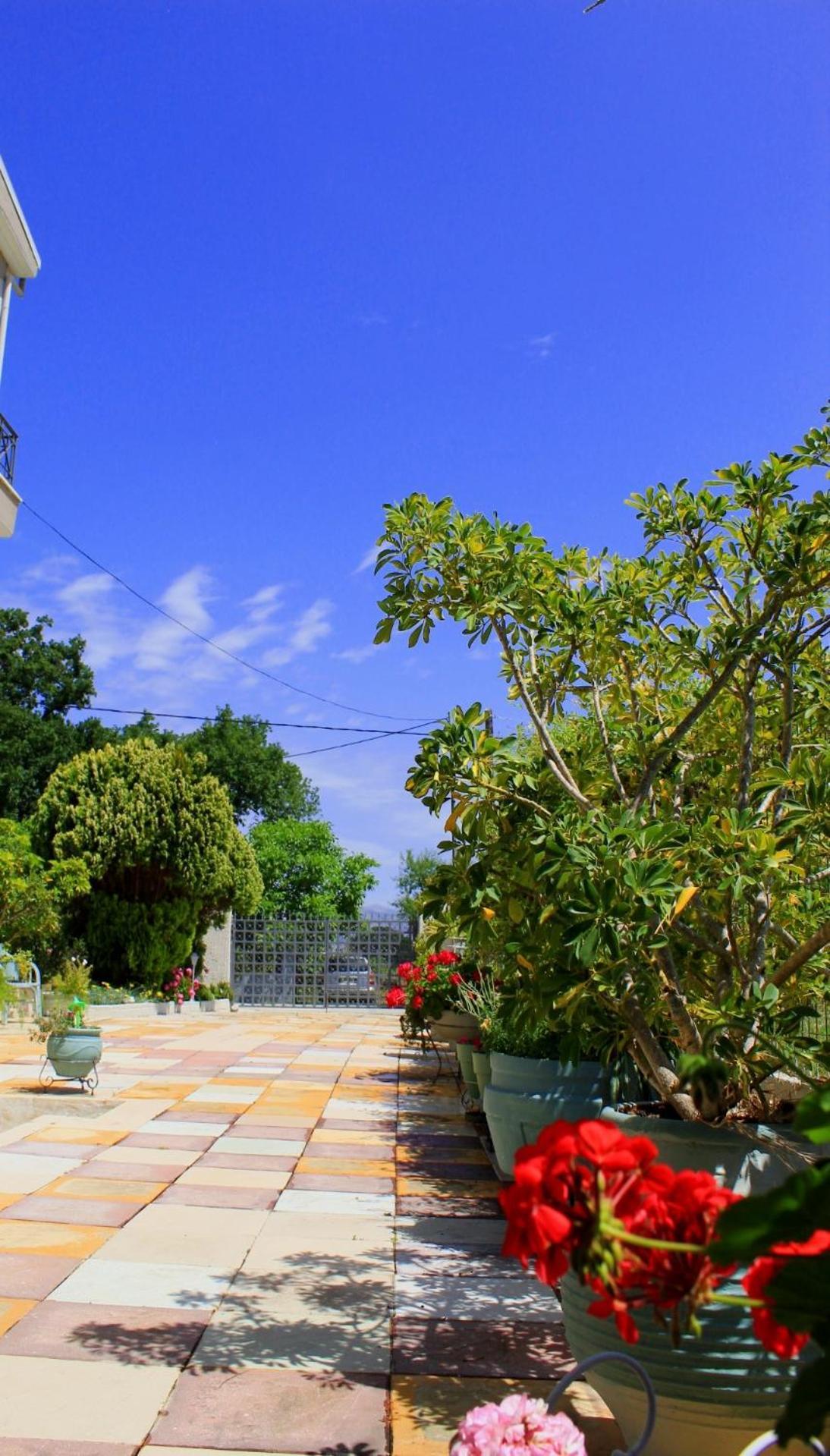 Olyna'S Apartment N.S Preveza Nea Sampsounta Экстерьер фото